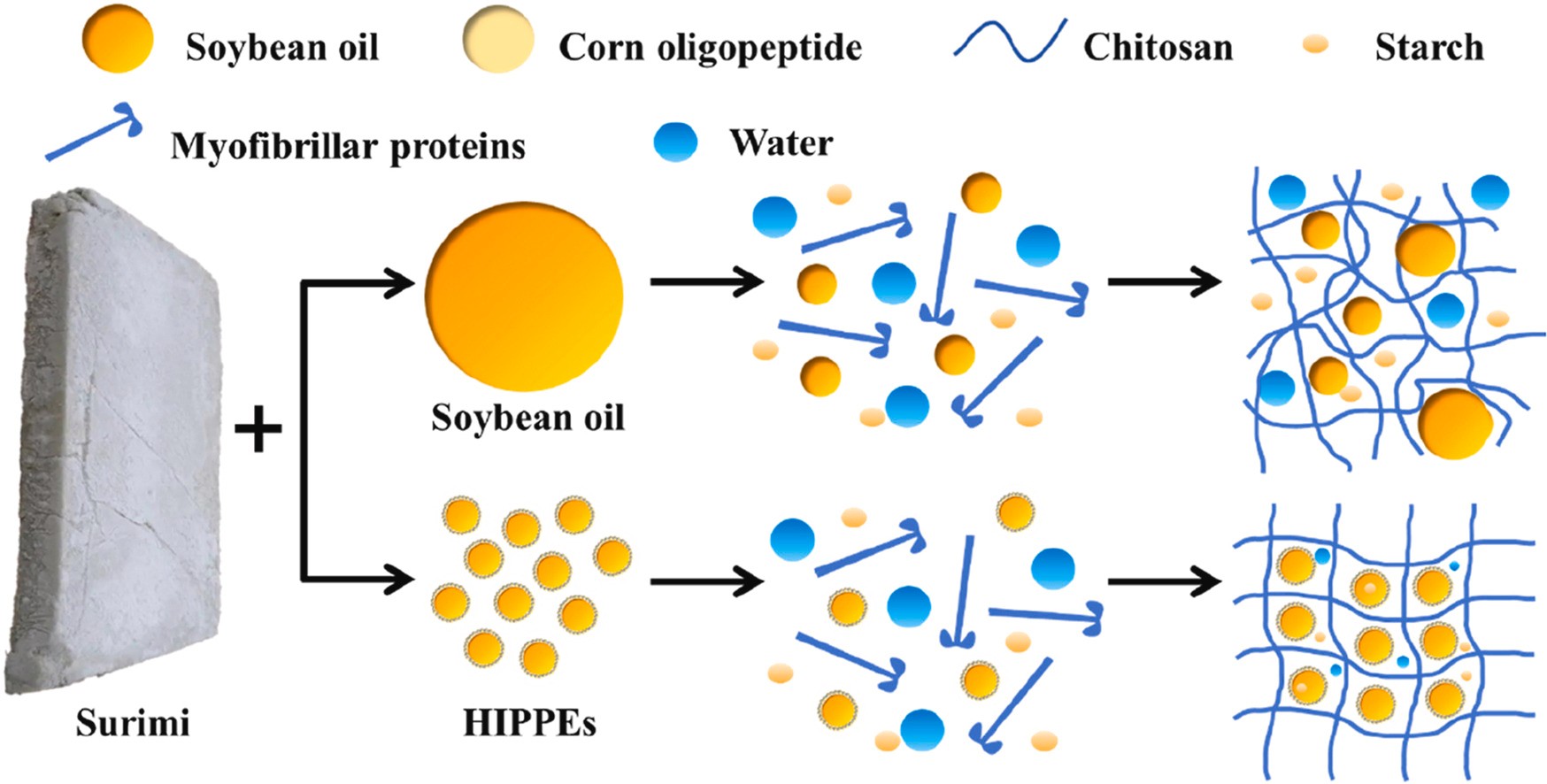 上海腾拔质构仪助力用户在Food Hydrocolloids发表关于鱼糜凝胶的论文